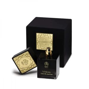 Guru Vision EDP